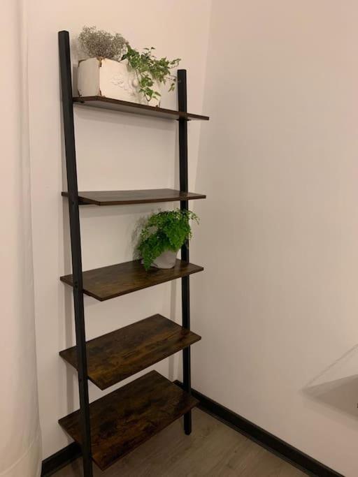 Apartamento Dga Loft In Padua Center A Few Steps From Squares Exterior foto