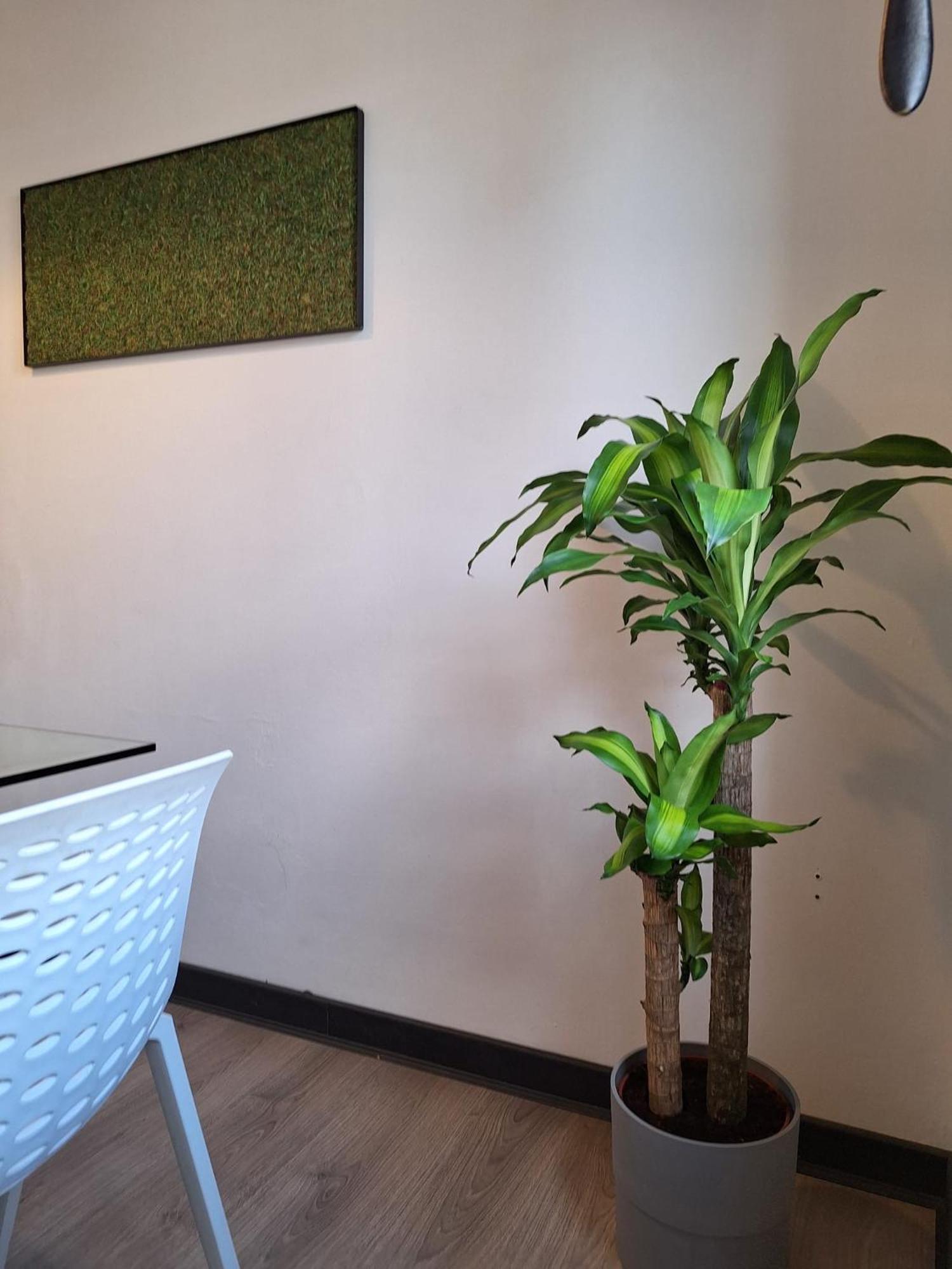 Apartamento Dga Loft In Padua Center A Few Steps From Squares Exterior foto